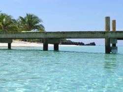 just off gassing for awhile, Roatan by John Brethauer 